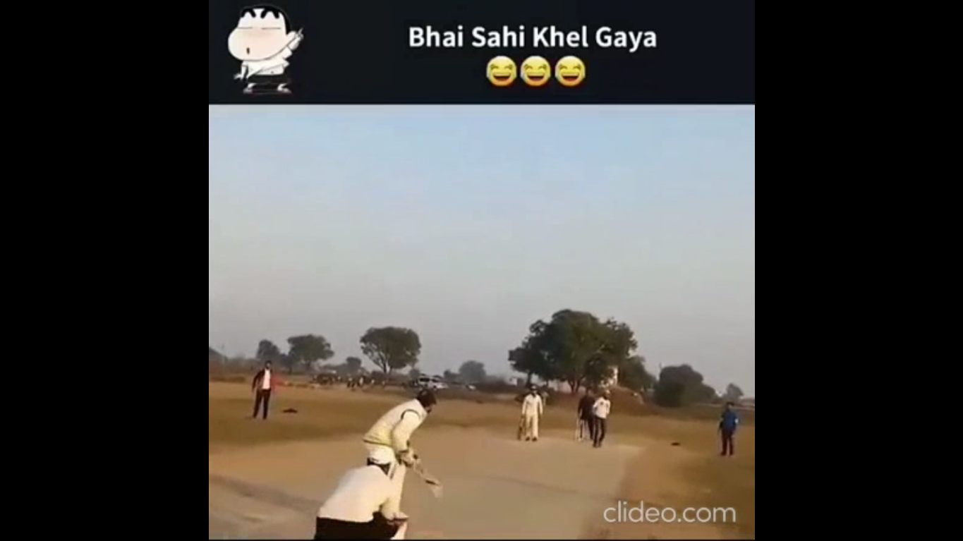 funny cricket